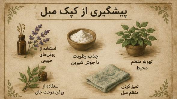 بهترین راه پیشگیری از کپک مبل